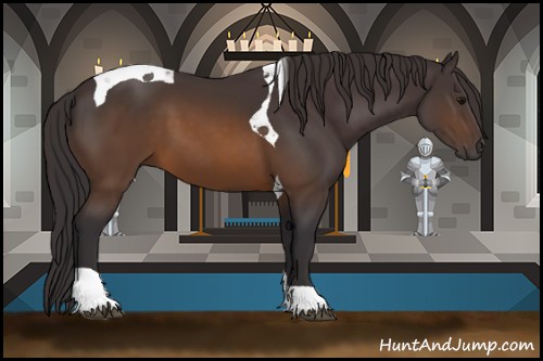 Horse Color:Buckskin Tobiano 