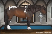 Horse Color:Buckskin Tobiano