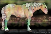 Horse Color:Nacre Watercolor Silver Buckskin Tobiano 