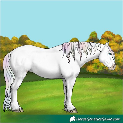 Horse Color:Nacre Watercolor White Spotted Silver Buckskin Pearl Tobiano Varnish 