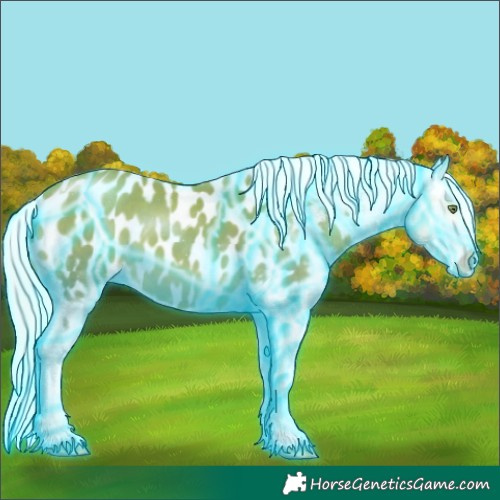 Horse Color:Thunderstruck Watercolor White Spotted Silver Amber Champagne Tobiano Appaloosa 