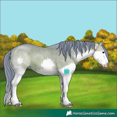 Horse Color:Watercolor Bay Sabino Splash