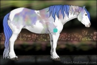 Horse Color:Nacre Watercolor Bay Dun Sabino Splash Tobiano
