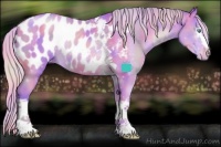 Horse Color:Nacre Watercolor White Spotted Silver Sable Champagne Pearl Tobiano Blanket