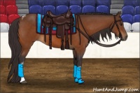 Horse Color:Buckskin Tobiano 