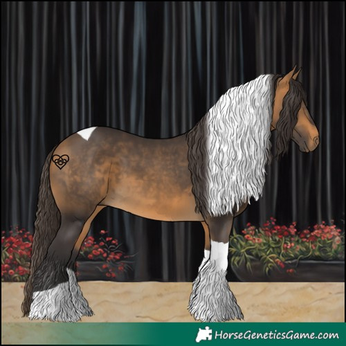 Horse Color:Buckskin Tobiano