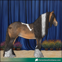 Horse Color:Buckskin Tobiano