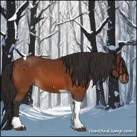 Horse Color:Buckskin Tobiano