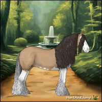 Horse Color:Bay Roan Dun Splash 