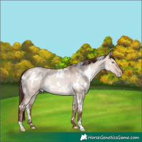 Horse Color:White Spotted Chocolate Sable Champagne Dun 