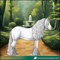Horse Color:White Spotted Palomino Dun Splash Tobiano Frame Appaloosa 