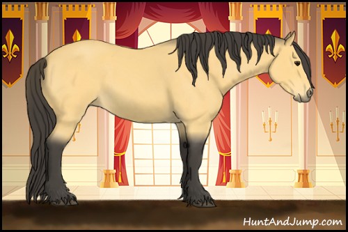 Horse Color:Buckskin Roan 
