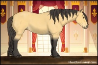 Horse Color:Buckskin Roan 