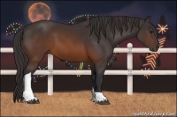 Horse Color:Buckskin Tobiano 