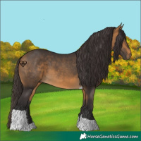 Horse Color:Buckskin Tobiano