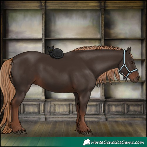 Horse Color:Liver Chestnut 