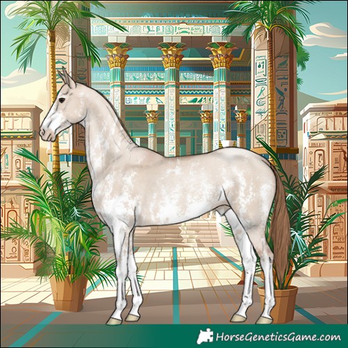 Horse Color:Grullo Pearl Sabino 