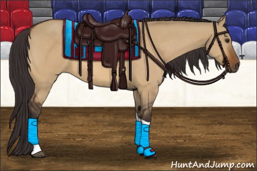 Horse Color:Buckskin Dun Tobiano