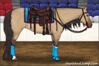 Horse Color:Buckskin Dun Tobiano