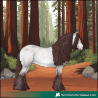 Horse Color:Platinum Chocolate Brown Roan Dun 