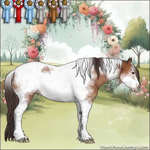 Horse Color:Bay Sabino Tobiano Frame Rabicano
