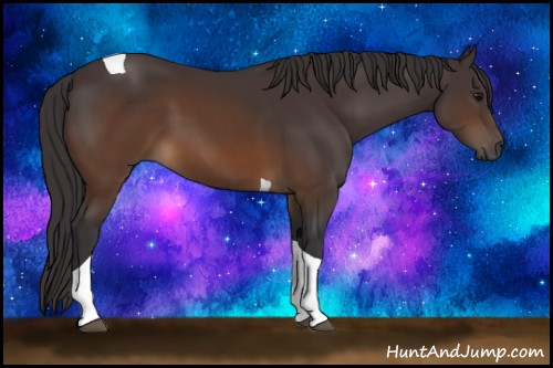 Horse Color:Buckskin Tobiano 