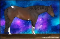 Horse Color:Buckskin Tobiano 