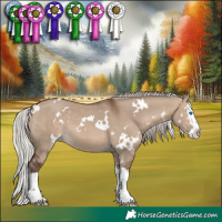 Horse Color:White Spotted Silver Brown Dun Splash 