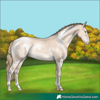 Horse Color:Perlino 