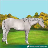 Horse Color:Platinum Chocolate Palomino Pearl Sabino