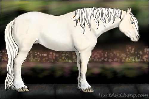 Horse Color:Palomino Roan Pearl Sabino