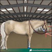 Horse Color:Silver Buckskin Pearl Sabino 