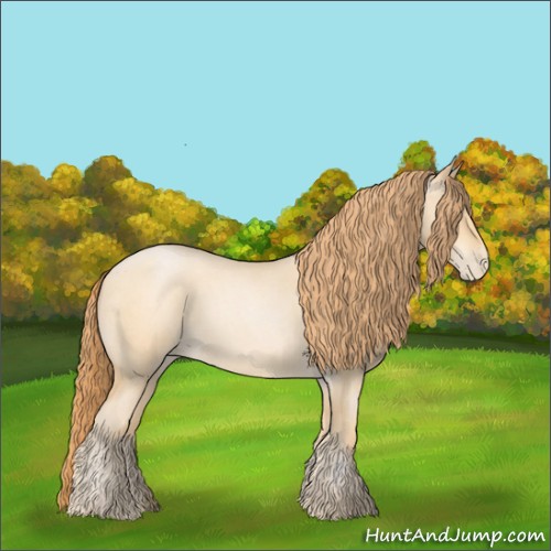 Horse Color:Buckskin Roan Pearl Sabino 