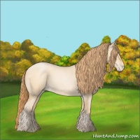 Horse Color:Buckskin Roan Pearl Sabino 