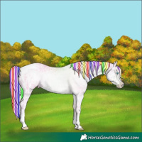 Horse Color:Painted Gold Cream Champagne Ice Pearl Sabino 