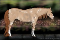 Horse Color:Red Dun Roan Splash Frame Rabicano 