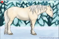 Horse Color:Palomino Pearl Sabino