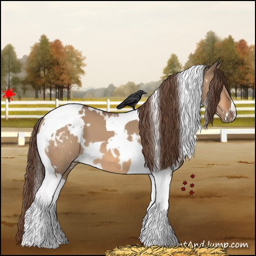 Horse Color:White Spotted Bay Dun Tobiano Appaloosa 