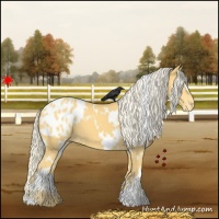 Horse Color:White Spotted Palomino Blanket