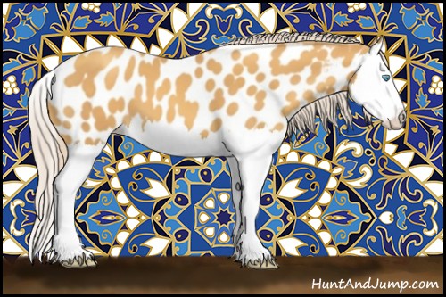 Horse Color:Gold Cream Champagne Splash Appaloosa 