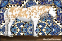 Horse Color:Gold Cream Champagne Splash Appaloosa 