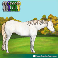 Horse Color:Buckskin Pearl Dun Sabino 