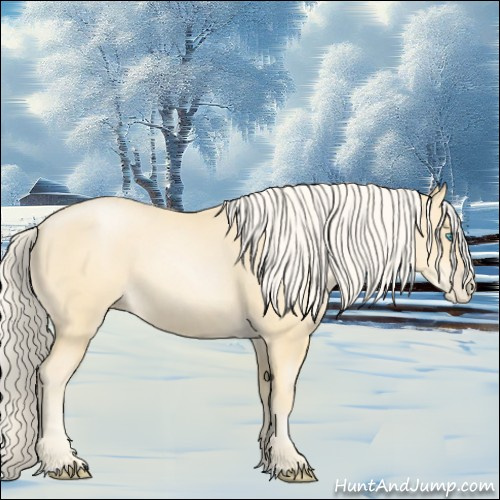 Horse Color:Palomino Pearl Sabino 