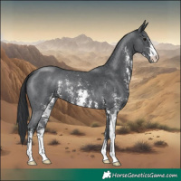 Horse Color:Black Sabino