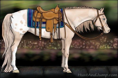 Horse Color:Gold Champagne Pearl Appaloosa Rabicano  and Gold Champagne Pearl Rabicano 