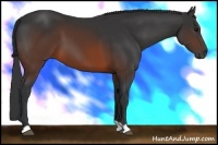 Horse Color:Brown 