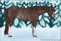 Horse Color:Liver Chestnut  and Liver Chestnut Rabicano 