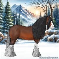 Horse Color:Bay Splash 