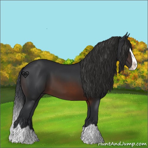 Horse Color:Brown Splash 