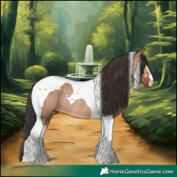 Horse Color:Bay Dun Tobiano Rabicano 